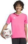 adidas Unisex Kids Entrada26 Kids Trikot
