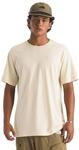THE NORTH FACE M EVO SD REG SS Tee