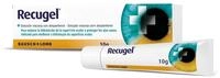 Recugel Gel Ocular 10G C/Dexpantenol