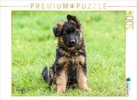 Puzzle &middot; Sch&auml;ferhund - Welpe H&uuml;ndin | 8 Wochen &middot; 1000 Teile &middot; Lege-Gr&ouml;&szlig;e...