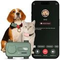 GlocalMe PetPhone GPS Tracker Hund, AI-Gesundheitsmonitor & Aktivit&auml;tstracking,