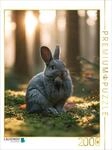 Puzzle &middot; Erst putzen, dann posieren | 2000 Teile &middot; Lege-Gr&ouml;&szlig;e 90 &times; 67 cm &middot;