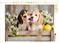 Puzzle &middot; Beagles - EIN K&uuml;sschen f&uuml;r Dich | Freunde f&uuml;rs Leben &middot; 2000 Teile...
