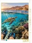 Puzzle &middot; Schnorcheln im Roten Meer | Magische Begegnung mit einer...
