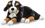 Steiff Kuscheltier Senni Berner Sennenhund, S&uuml;&szlig;es Stofftier mit Kunststoffaugen,
