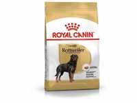 Royal Canin rottweiler, 1er Pack (1 x 12 kg)