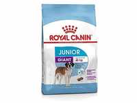 Royal Canin GIANT Junior 31 - 15 kg - Hundefutter
