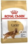 ROYAL CANIN Cocker Adult Trockennahrung f&uuml;r Hunde &ndash; 3 kg