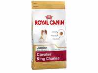 Royal Canin BHN Cavalier King Charles Spaniel Puppy - Dry Puppy Food - 1.5kg