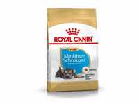 Royal Canin Miniature Schnauzer Junior 1,5 kg, 1er Pack (1 x 1.5 kg)