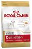 Royal Canin Dalmatian 25 Junior 12 kg, 1er Pack (1 x 12 kg)