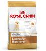 Royal Canin Labrador Retriever Junior 3 kg, 1er Pack (1 x 3 kg)