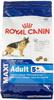Royal Canin Medium Mature, 5+, 4 kg, 1er Pack (1 x 4 kg Packung), Hundefutter