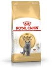 Royal Canin Feline British Shorthair, 1er Pack (1 x 10 kg Beutel) - Katzenfutter