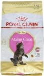Royal Canin Katzenfutter Feline Kitten Maine Coon 36, 4 kg, 1er Pack (1 x 4 kg)