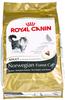 Royal Canin Norwegian Forest Cat Adult Cats Dry Food 10 kg Poultry