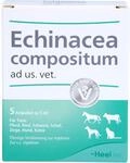 ECHINACEA COMPOSITUM ad us.vet.Ampullen 5 St