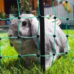 Kerbl Pet Kaninchennetz, Kaninchenzaun, Hasenzaun, Auslauf, Einzelspitze, 25mx65cm,