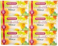 Teekanne Marokkanische Minze, 6er Pack (6 x 20 Teebeutel), 6 x 36 g