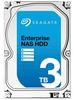 Seagate Enterprise NAS HDD - 3 TB - interne Festplatte, ST3000VN0001 (3,5 Zoll),