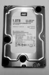 Western Digital WD10EALS Caviar Blue 1TB interne Festplatte (8,9 cm (3,5 Zoll), SATA