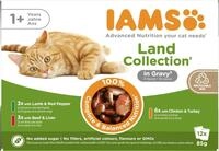 IAMS Delights Land Collection Katzenfutter Nass in Sauce, 12 x 85 g | Multipack | mit