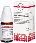 DHU Rhus toxicodendron D6 Streuk&uuml;gelchen, 10 g Globuli