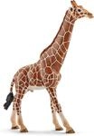 Schleich WILD Life | Giraffenbulle 14749 | ab 3 Jahren | 13 x 4 x 17 cm 