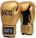 BENLEE Rodney Boxhandschuhe, Trainingshandschuhe f&uuml;r Einsteiger,GS,14 oz