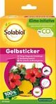 Solabiol Gelbsticker, Gelbstecker, insektizidfreie Leimfallen gegen Fliegende