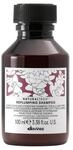 Natural Tech by Davines Replumping Shampoo, 100 ml