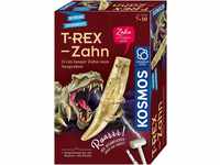 KOSMOS 636173 T-Rex Zahn, Dino Zahn in Originalgröße zum Ausgraben, Komplett-Set