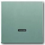 Busch-Jaeger 6543-83-101 Bedienelement