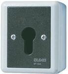 Jung 806.28G Schluesselschalter