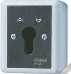 Jung 833.18G Schluesselschalter