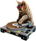 SUCK UK Kratz-Plattenspieler aus Pappe f&uuml;r Katzen | Katzenspielzeug | Plattenspieler