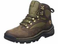 Timberland Damen Chocorua Trail Goretex Chukka Boots, Braun (Dark Brown/Green), 41.5