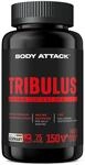 Body Attack Tribulus mit 2400mg Tribulus Extrakt - hochdosierte & nat&uuml;rliche Kapseln