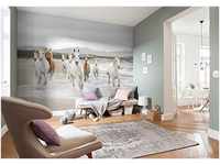Komar Fototapete WHITE HORSES | 368 x 254 cm | Tapete, Wandgestaltung, Wandtapete,