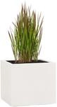 Pflanzwerk&reg; Pflanzk&uuml;bel Cube Sand 30x34x34cm *Frostbest&auml;ndiger Blumenk&uuml;bel*