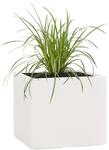 Pflanzwerk&reg; Pflanzk&uuml;bel Cube Sand 38x44x44cm *Frostbest&auml;ndiger Blumenk&uuml;bel*