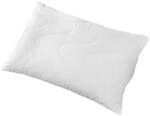 Centa-Star extra 4355.00 Aqua Aktiv Kissen