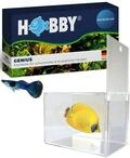 Hobby 61340 Genius, Fischfalle, 21 x 13 x 15 cm