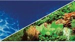 Hobby 31136 Fotor&uuml;ckwandzuschnitt Pflanzen 8, marin blau