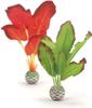 OASE biOrb 46099 Seidenpflanzen Set S grün & rot - hochwertige Aquariendekoration