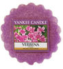 Yankee Candle Dufttart, Wachs, Violett, 6x5.5x1.7 cm, 100