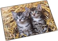 L&auml;ufer 46637 Schreibtischunterlage Katzen im Stroh, 53x40 cm, rutschfeste