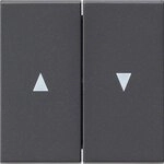 Gira 029428 Wippen mit Pfeilsymbol System 55 , anthrazit