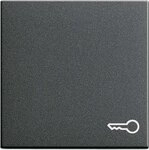 Gira Wippe T&uuml;r Anth 028728 System55 System 55 Abdeckung/Bedienelement f&uuml;r