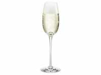 Holmegaard Champagnerglas 21 cl Fontaine aus mundgeblasenem Glas, klar